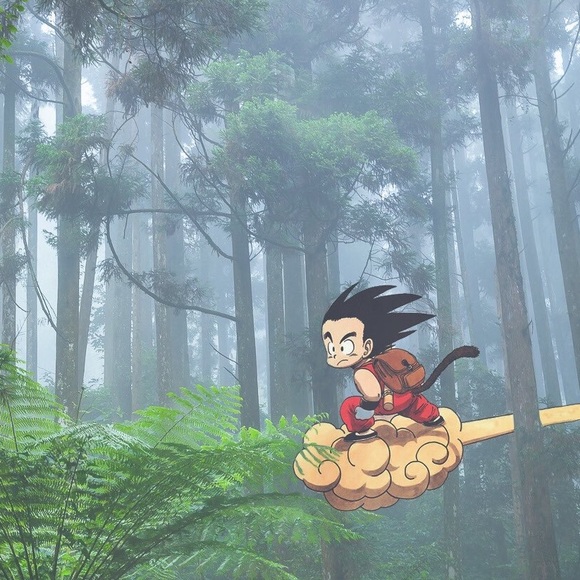 Meet your Posher, Alex - Picture 1 of 1